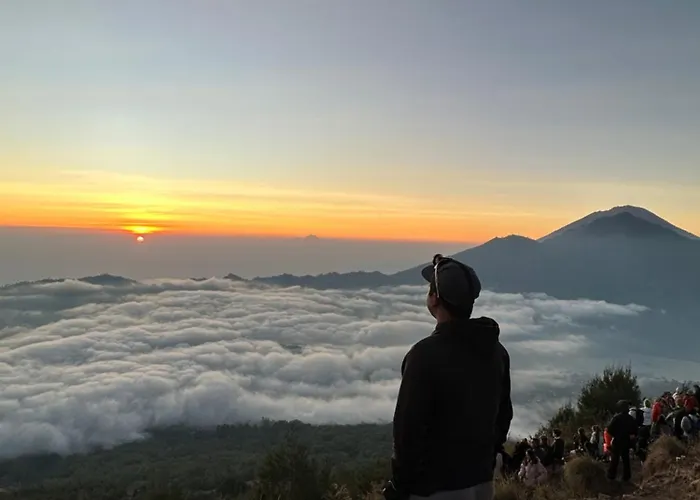 Pensión Volcano Valley 4*